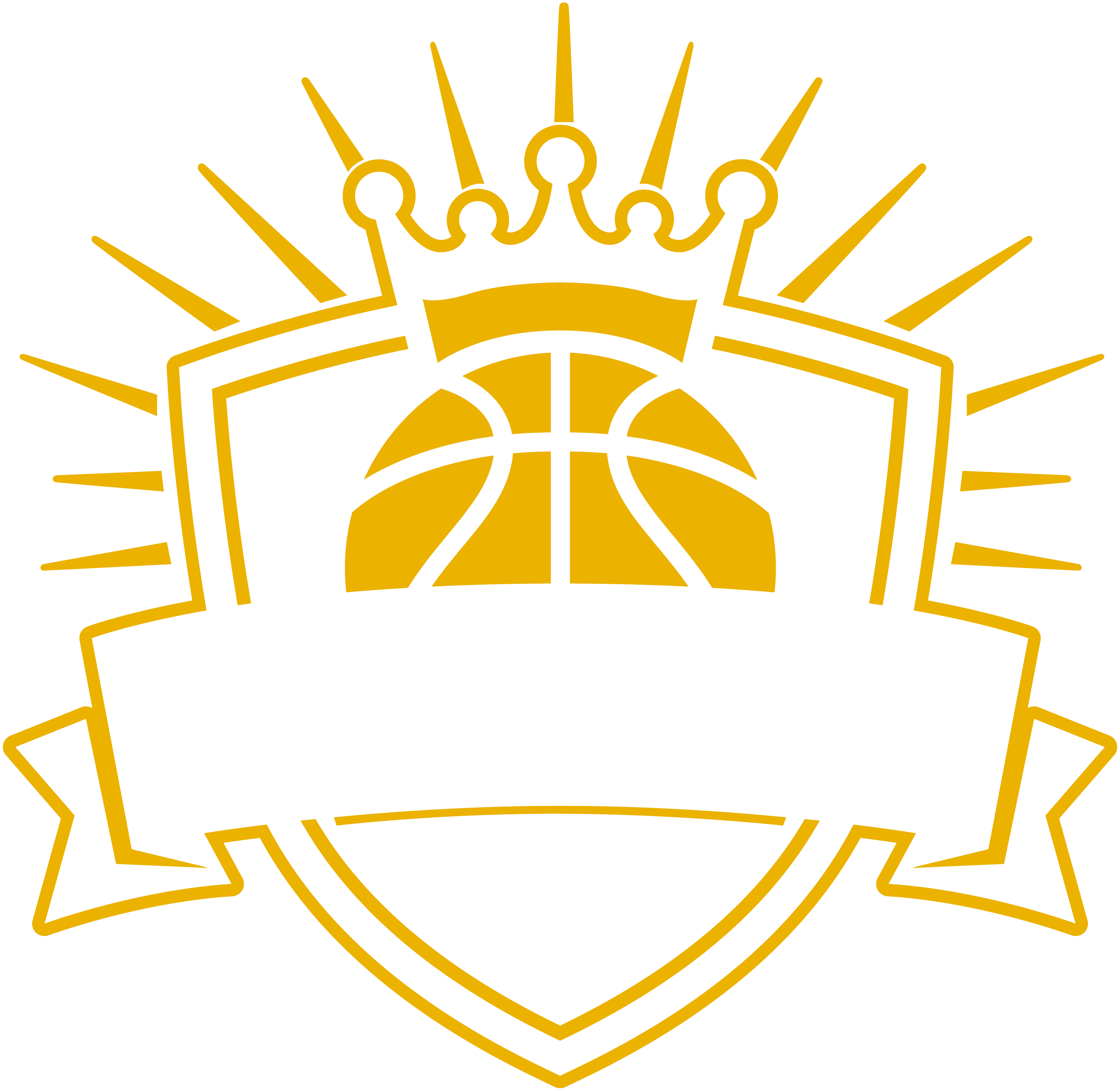 Chosen Basketball